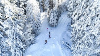 hinterzarten