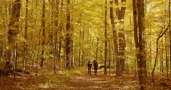 the equinox golf resort and spa