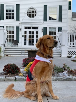 the equinox golf resort and spa