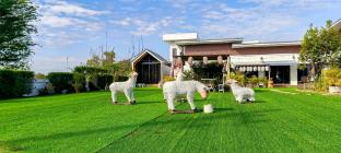the chill resort resort at korat