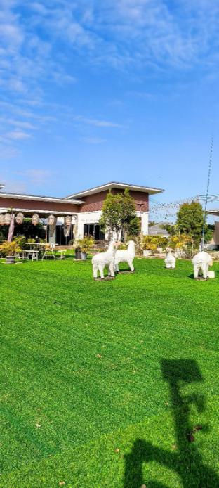 the chill resort resort at korat