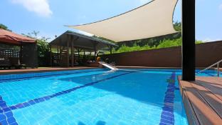 pine hill pet pension