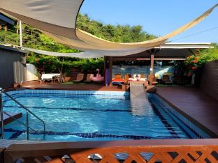 pine hill pet pension