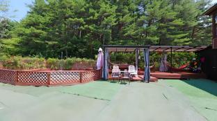 pine hill pet pension