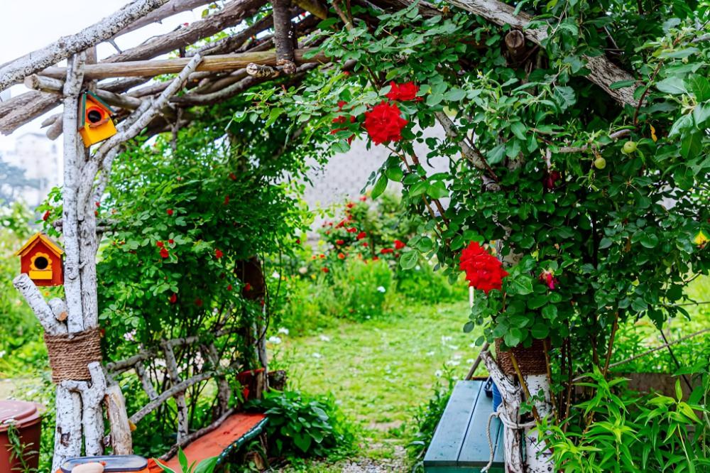 yangyang silver sea pension