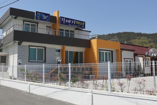 pohang wolpo seagulls pension