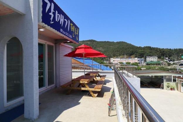 pohang wolpo seagulls pension