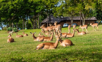 kruger park lodge unit no 441