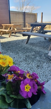 campsite the ring pub glamping pods