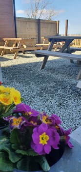 campsite the ring pub glamping pods