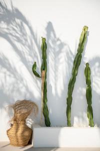 santa eulalia del rio