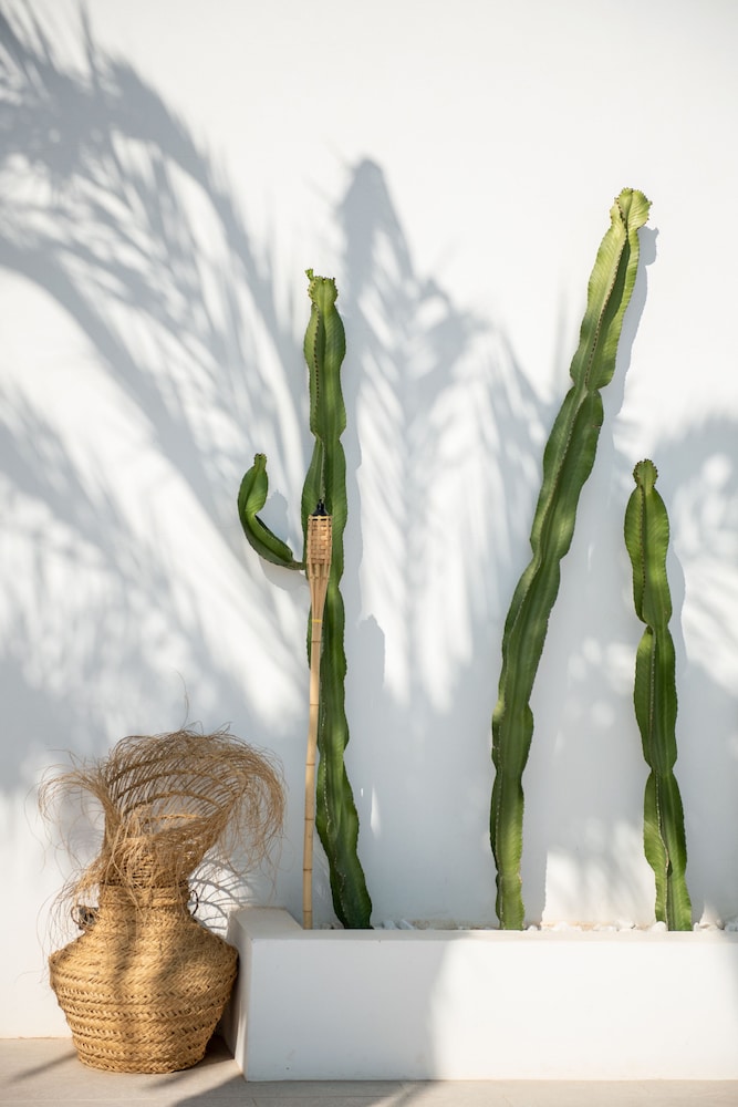 santa eulalia del rio