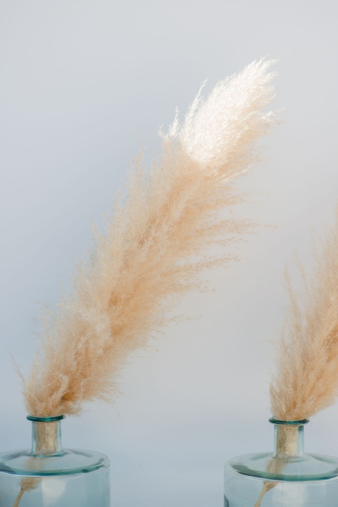 santa eulalia del rio