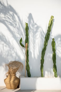 santa eulalia del rio