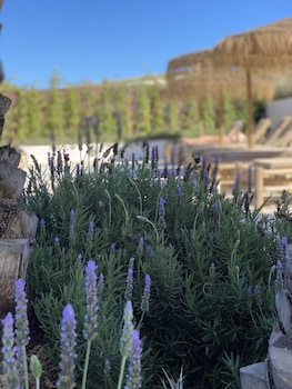 santa eulalia del rio