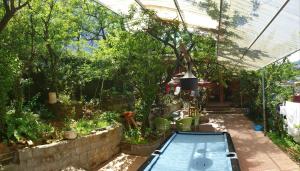 dang khoa garden inn