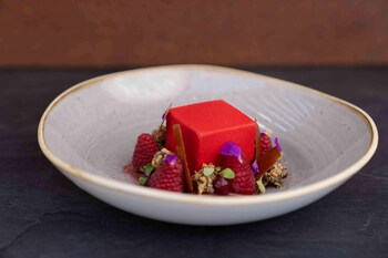 hotel and spa suiten freiwerk