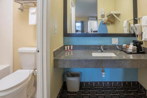 oyo hotel knoxville tn cedar bluff i 40