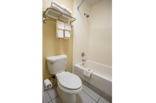 oyo hotel knoxville tn cedar bluff i 40