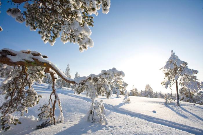 rovaniemi