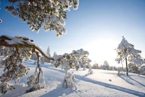 rovaniemi