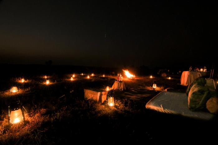 tadoba jungle camp