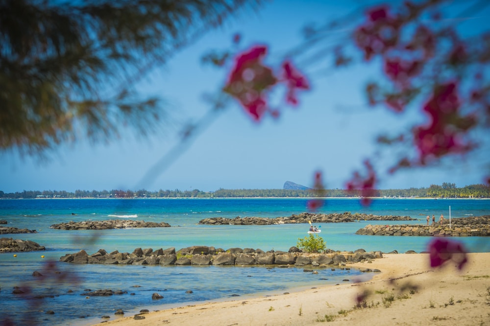 voile bleue boutique hotel