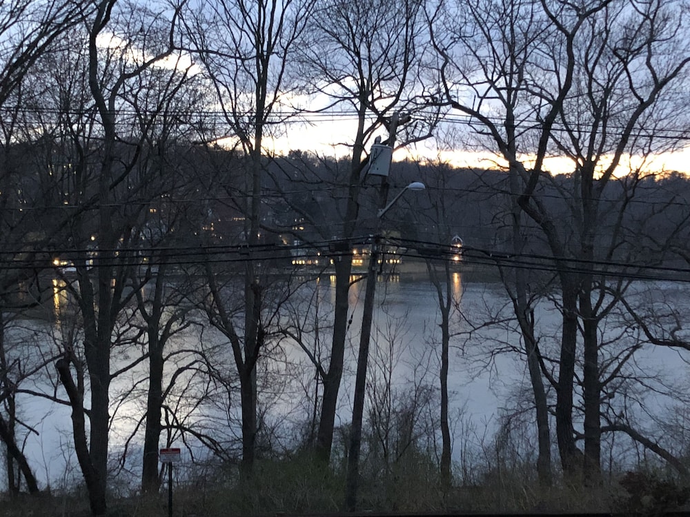 cold spring harbor