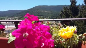 hostal la ciguena