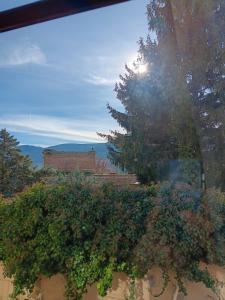 hostal la ciguena