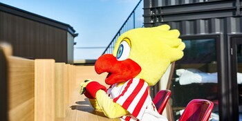 rakuten stay x eagles