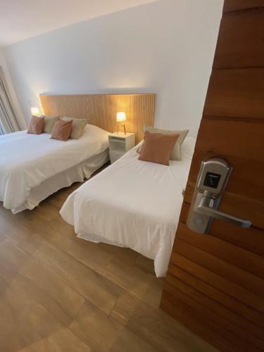 tigre urban suites