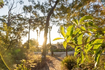 tasman holiday parks myola
