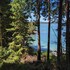 bamfield