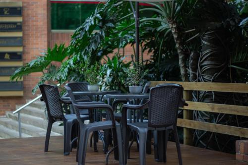 hotel bambu milla de oro