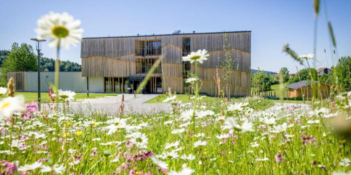 naturhotel and chalets euler