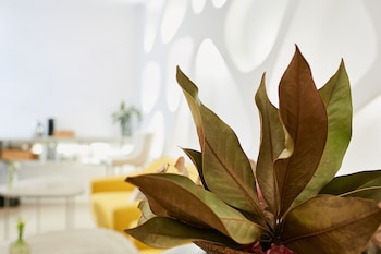 hotel boutique suite generis