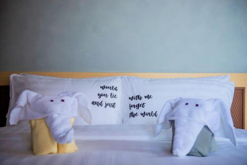 one of a kind resort at trikora beach