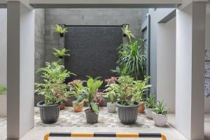 reddoorz plus cirebon city center