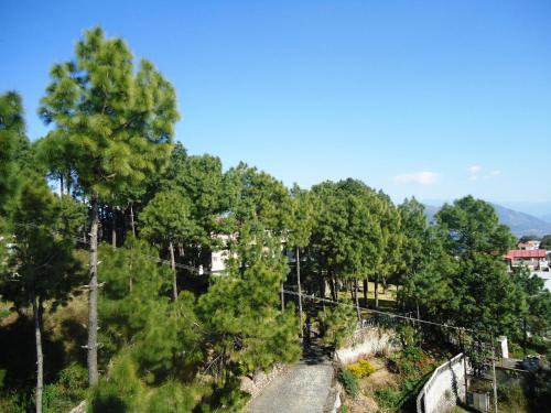 Barog Villa,Kasauli>>Barog,4 star