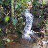 vagamon
