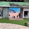 goa