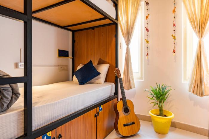 shalom backpackers udaipur adults only