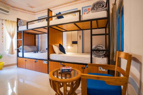 shalom backpackers udaipur adults only