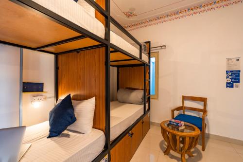 shalom backpackers udaipur adults only