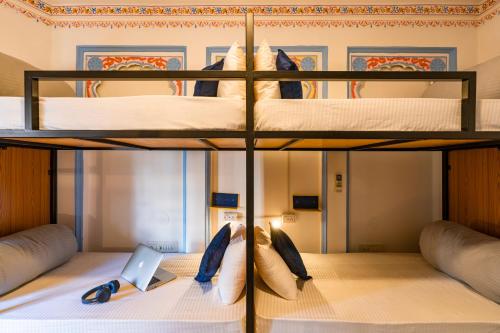 shalom backpackers udaipur adults only