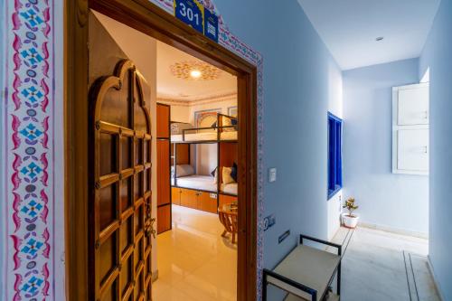 shalom backpackers udaipur adults only