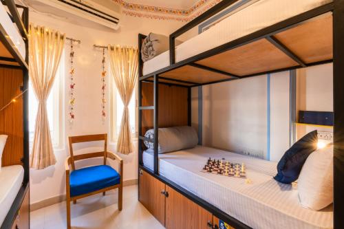 shalom backpackers udaipur adults only