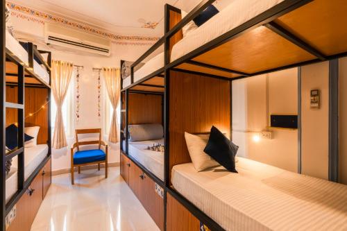 shalom backpackers udaipur adults only