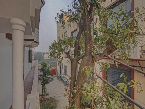 hotel o cozy cottage